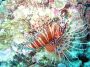 07Moorea - 21